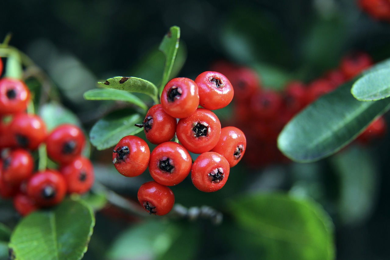 全智贤凭借 全智贤凭借