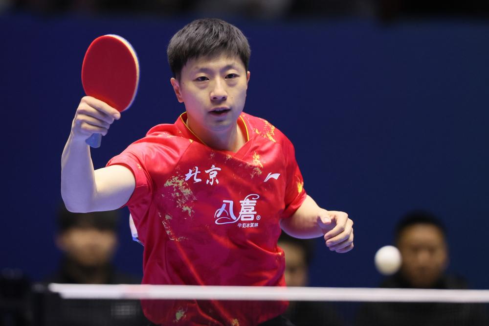 金队的绝对 金队的绝对