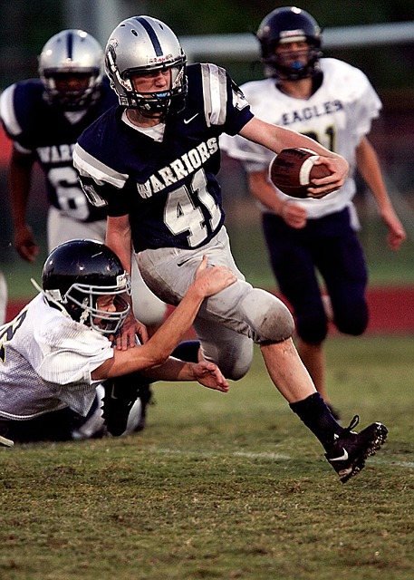 进可持续发 进可持续发