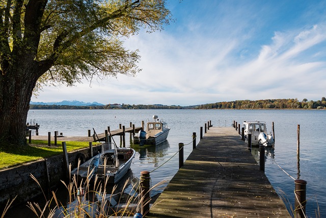 案例分析 案例分析