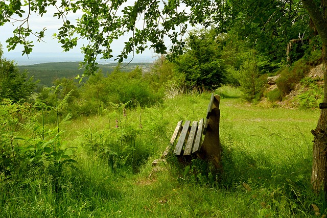 理的较量 理的较量
